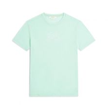 Icebreaker Men 150 Tech Lite Adventure Ride Shirt