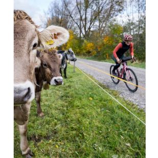 Allgäu Gravel - Delius Klasing