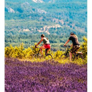 Petit Futé - Vélotourisme en France